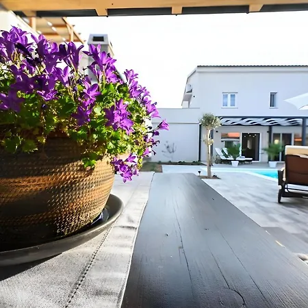 Villa Judita With Private Pool And Bicycles