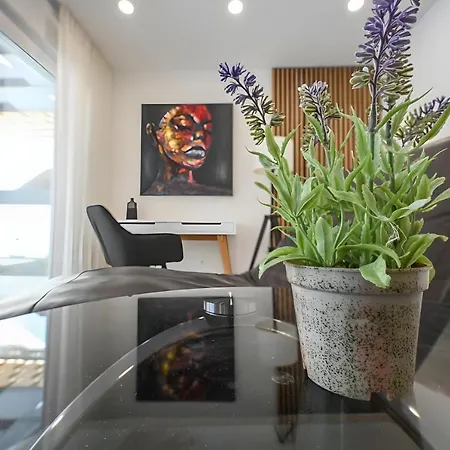 Judita With Private Pool And Bicycles Villa *